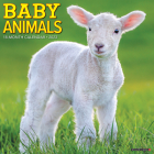Baby Animals 2023 Wall Calendar By Willow Creek Press Cover Image